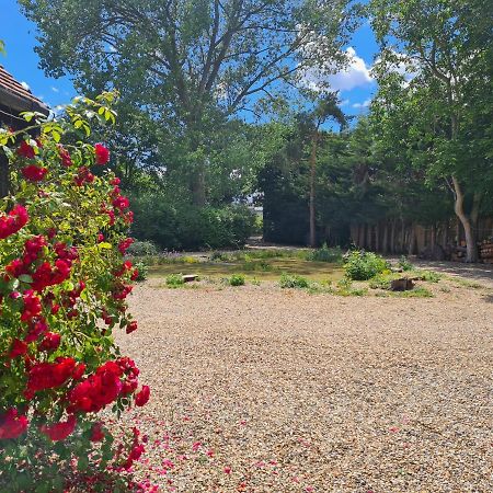 The Reading Whole Apartment With Private Lake And Gardens エクステリア 写真