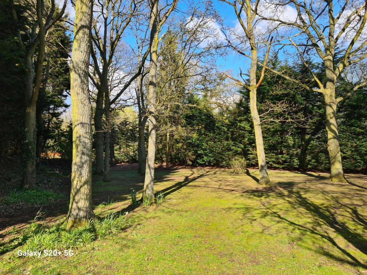 The Reading Whole Apartment With Private Lake And Gardens エクステリア 写真