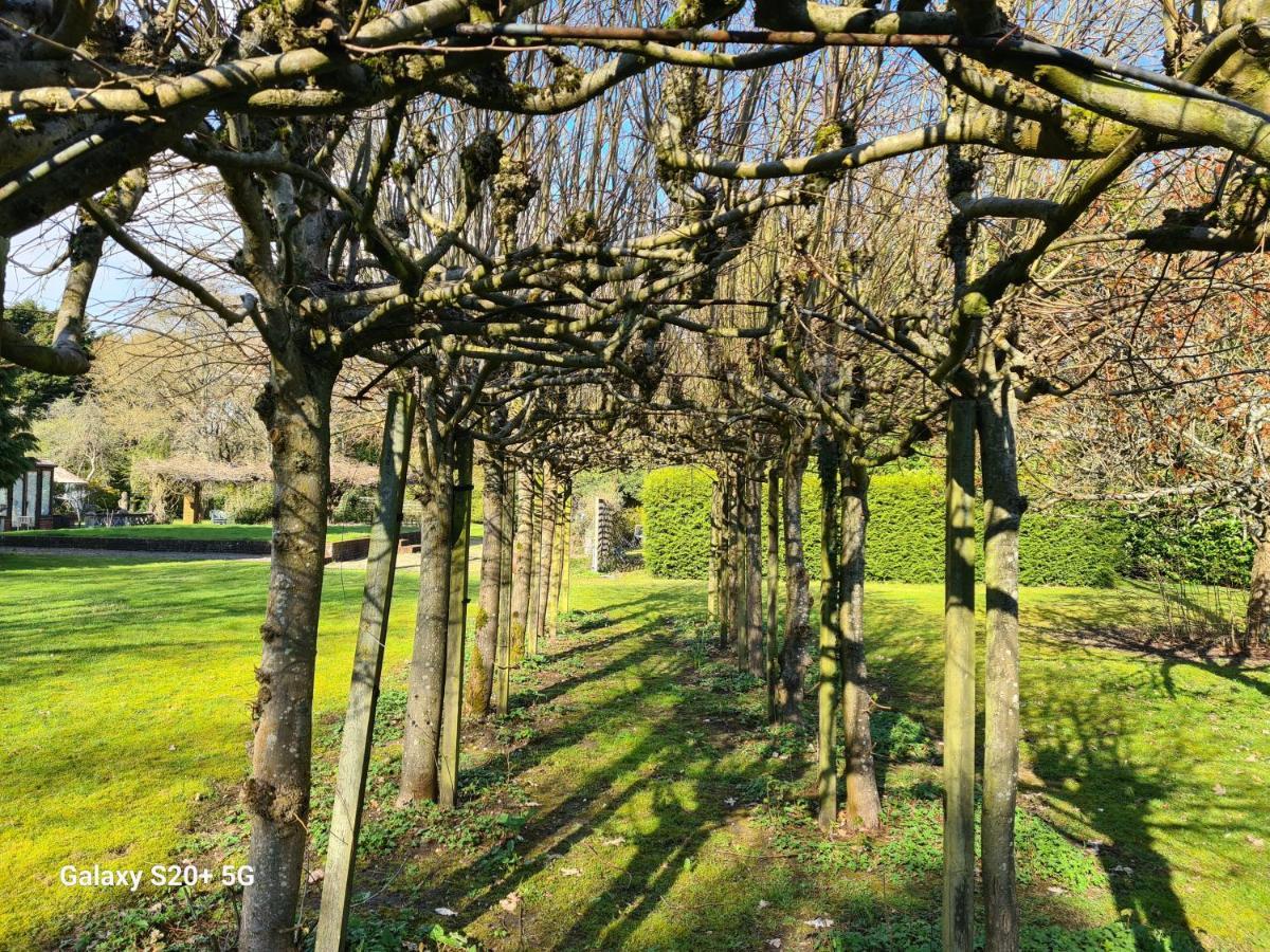 The Reading Whole Apartment With Private Lake And Gardens エクステリア 写真
